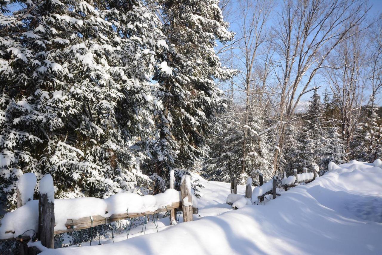 Jardin Du Village By Chez Tremblant Mont-Tremblant Bagian luar foto