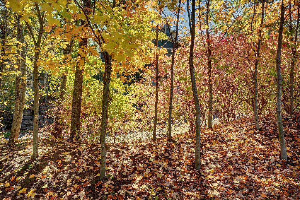 Jardin Du Village By Chez Tremblant Mont-Tremblant Ruang foto