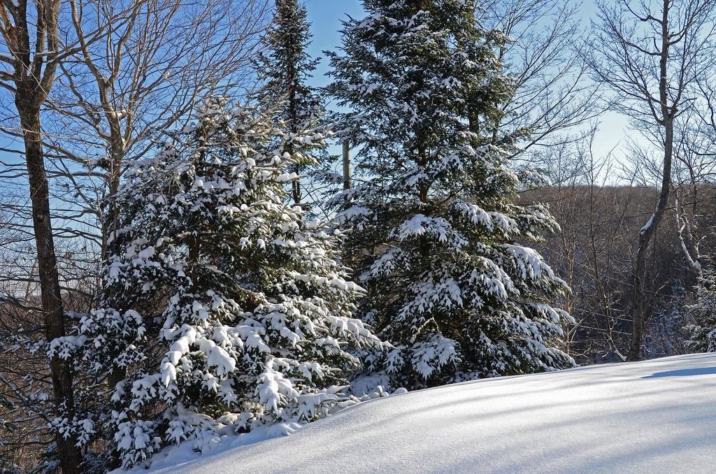 Jardin Du Village By Chez Tremblant Mont-Tremblant Ruang foto